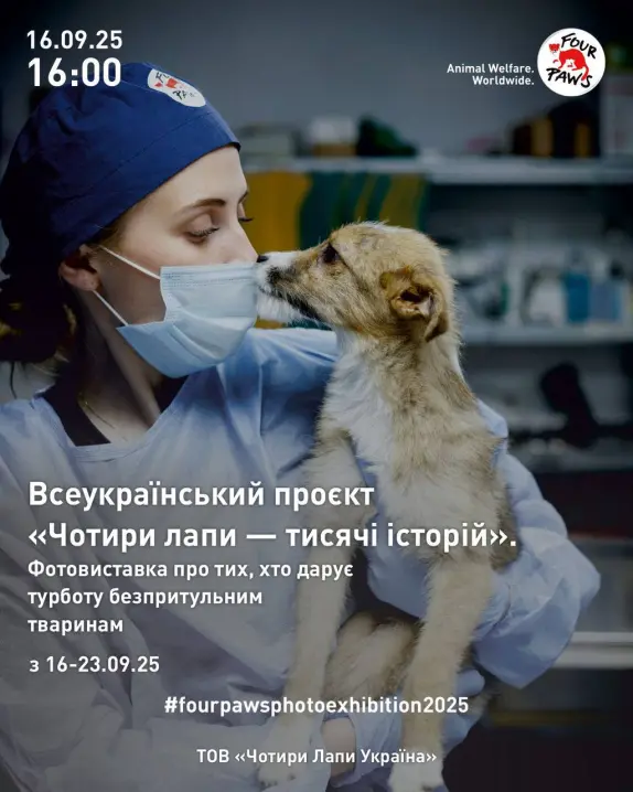 У Чернівцях проведуть фотовиставку про людей, які рятують життя безпритульним тваринам