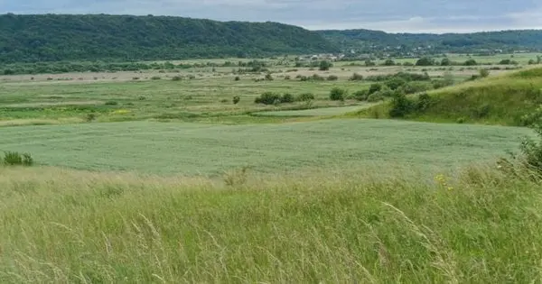Невідомі фермери захопили нові землі в селах Львівської громади