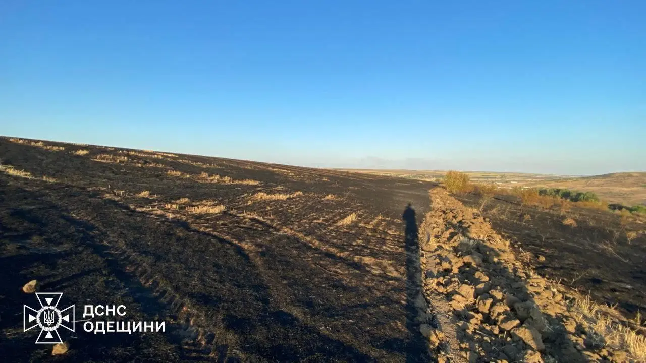 Пожежа у Миколаївці Березівського району: 8 гектарів стерні та