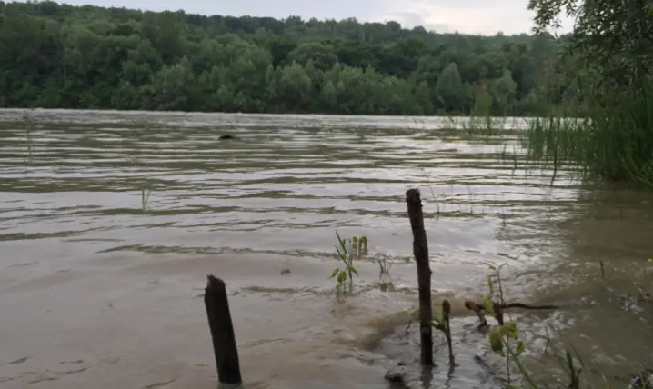 Рівень води у річках Прут та Сірет на Буковині поступово спадає
