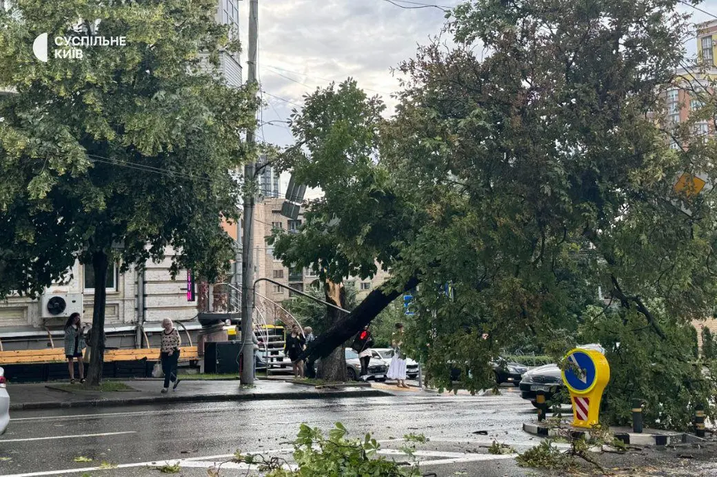 В Києві негода повалила дерева (фото)