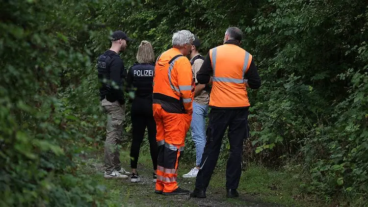 У Німеччині виявили нові пошкодження на залізниці, де підозрюють диверсію