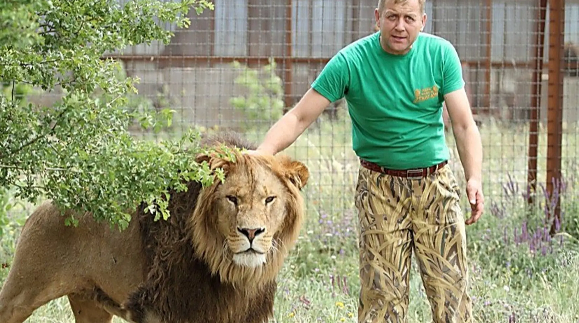 Кримського колаборанта Зубкова, який викрадав тварин в окупації, покусав лев