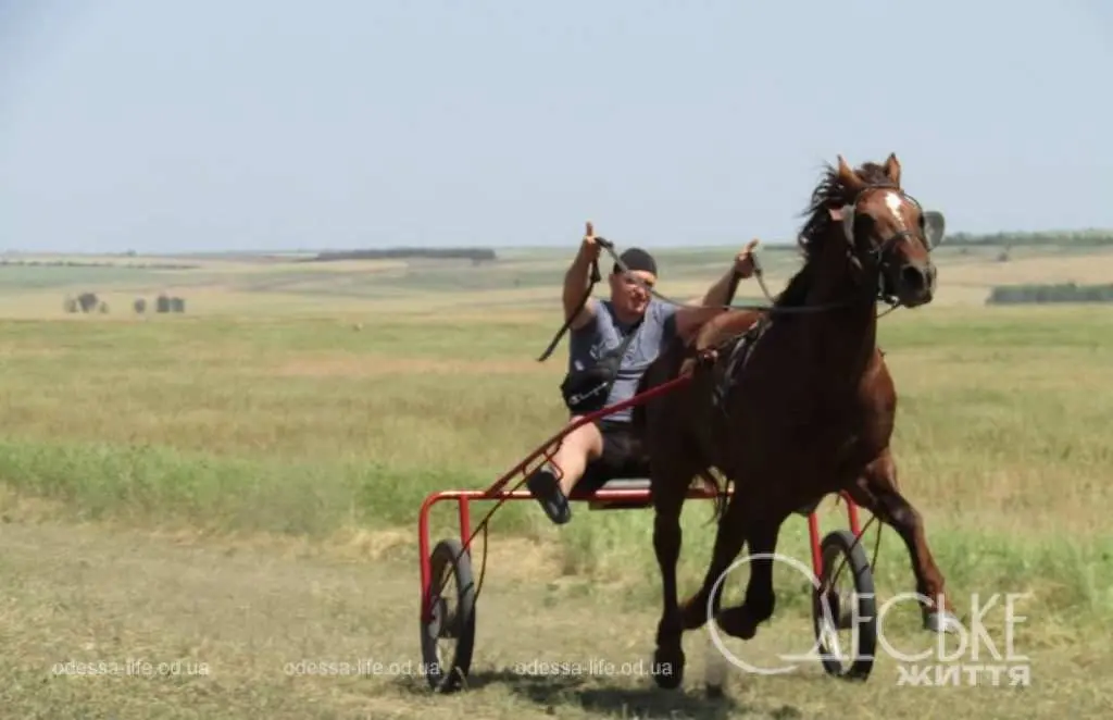 У Бородінській громаді на Одещині влаштували кінні перегони (фоторепортаж)