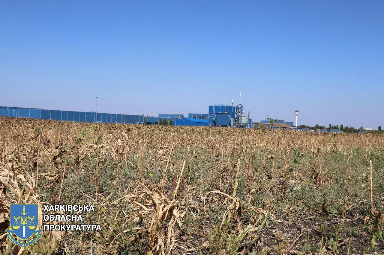 Поля замість промисловості: на Харківщині прокуратура пішла в суд через землю