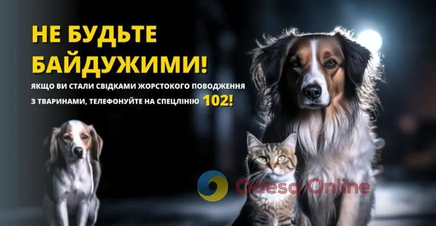 В Одесі застрелили безпритульного собаку: поліція розпочала кримінальне провадження