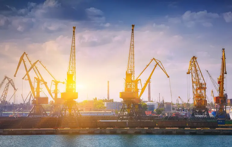 Мито на експорт сої та ріпаку: депутати знайшли мільярди гривень для фінансування ЗСУ 