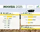 Українські аграрії завершили збір пшениці