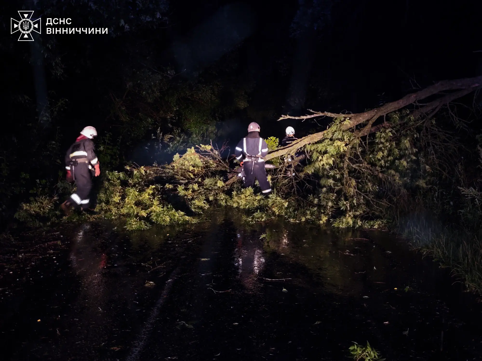 Вночі на Вінниччині внаслідок негоди падали дерева, підтоплювало будинки та були знеструмлення