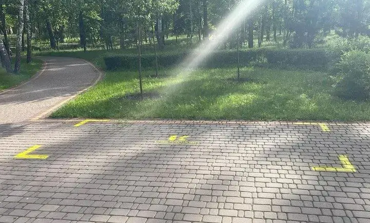 «Київ.Прозоро» оголосило аукціони на оренду місць під вуличну торгівлю у двох районах столиці