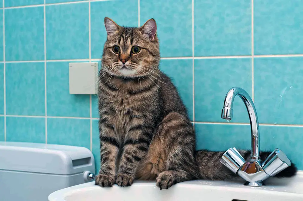У двох районах Харкова 2 липня вимкнуть воду