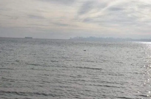 У Чорноморську продовжують шукати зниклого в морі 15-річного хлопця