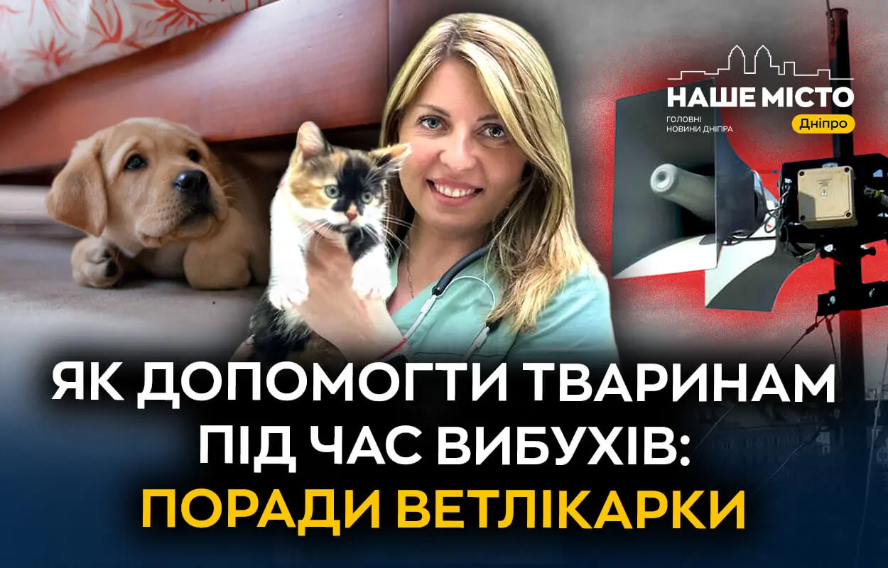Як допомогти тваринам під час вибухів: поради ветлікарки з Дніпра