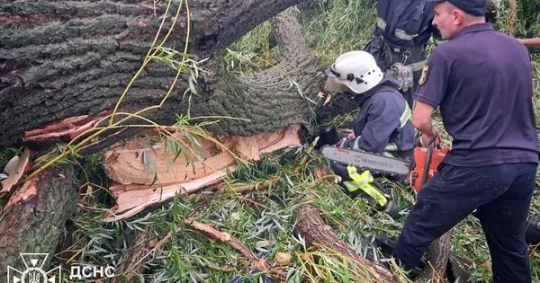 На Одещині під час грози на намет із підлітками впало дерево, загинув 15-річний хлопець